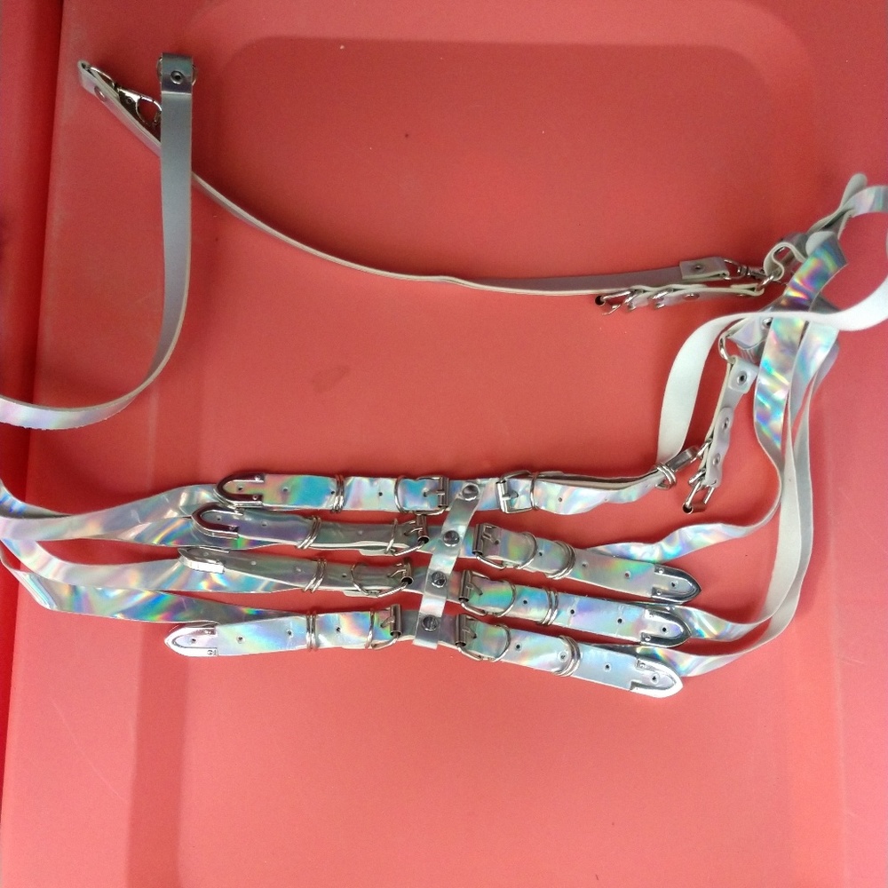 Bundle - 2 holographic harnesses